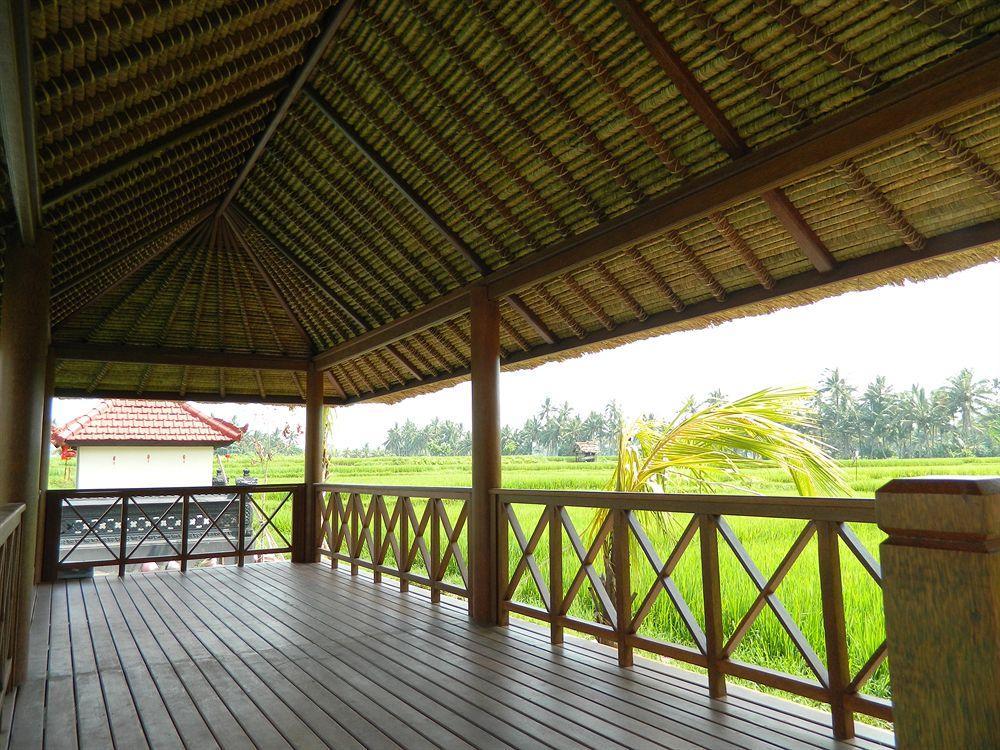 Suly Vegetarian & Ubud (Bali)