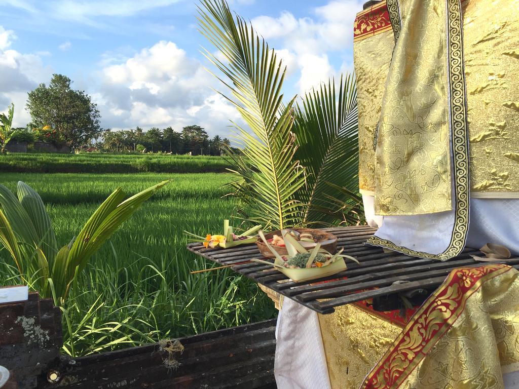 Suly Vegetarian & 3* Ubud (Bali)