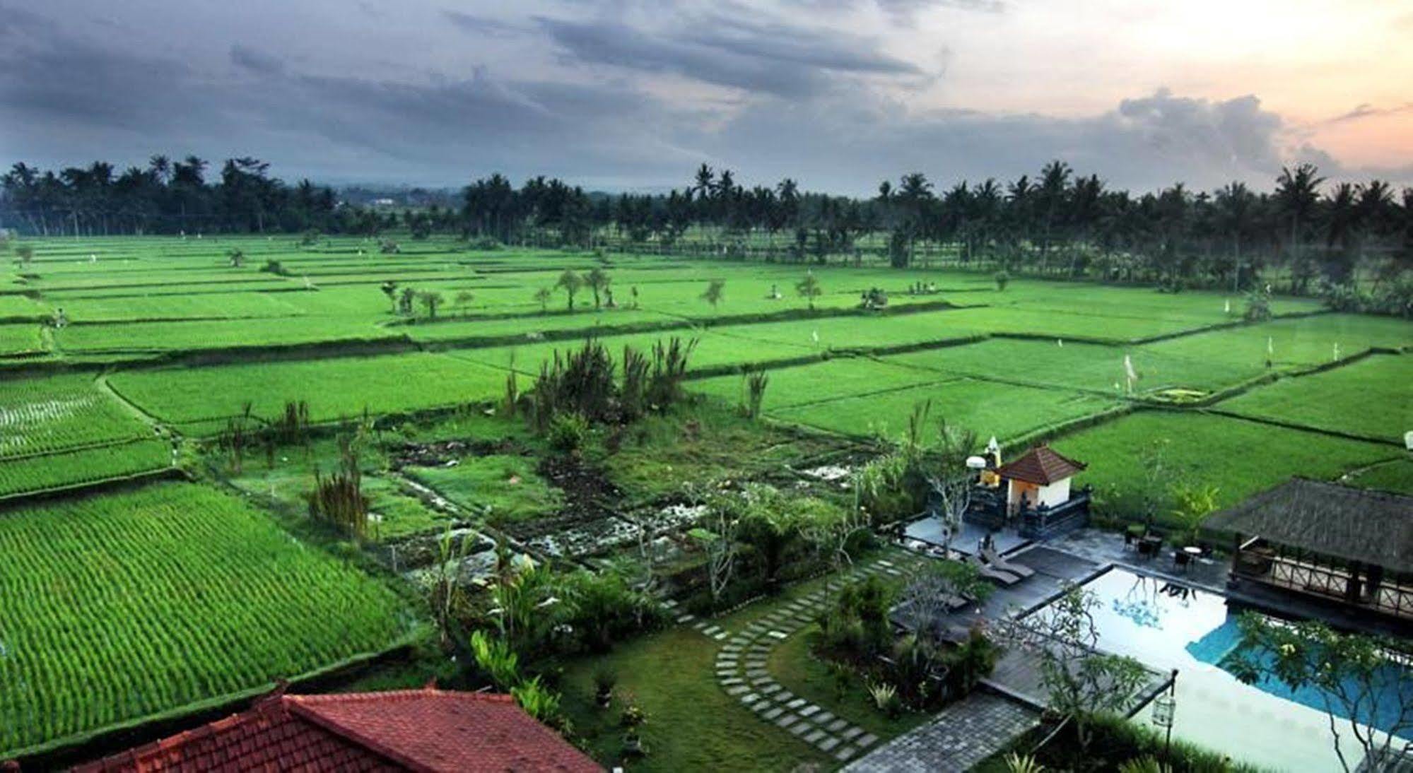 Suly Vegetarian & 3* Ubud (Bali)