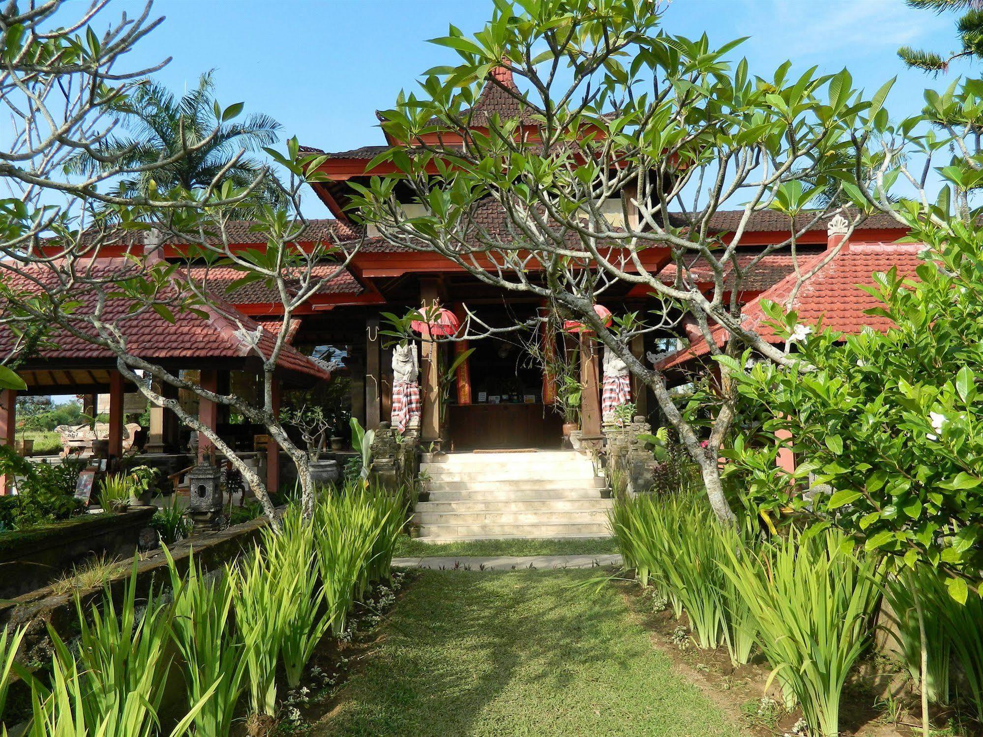 Suly Garden 3*