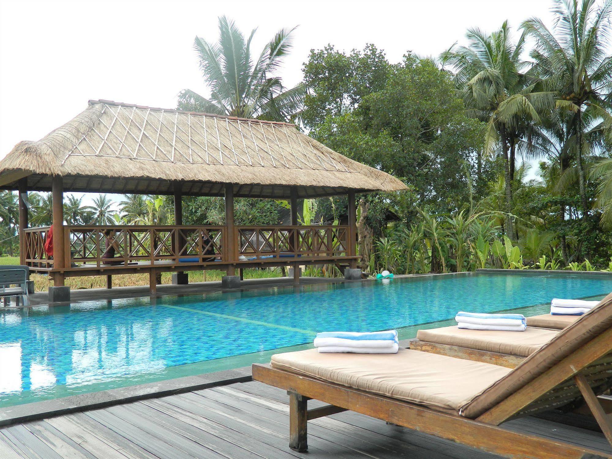 Suly Garden 3*