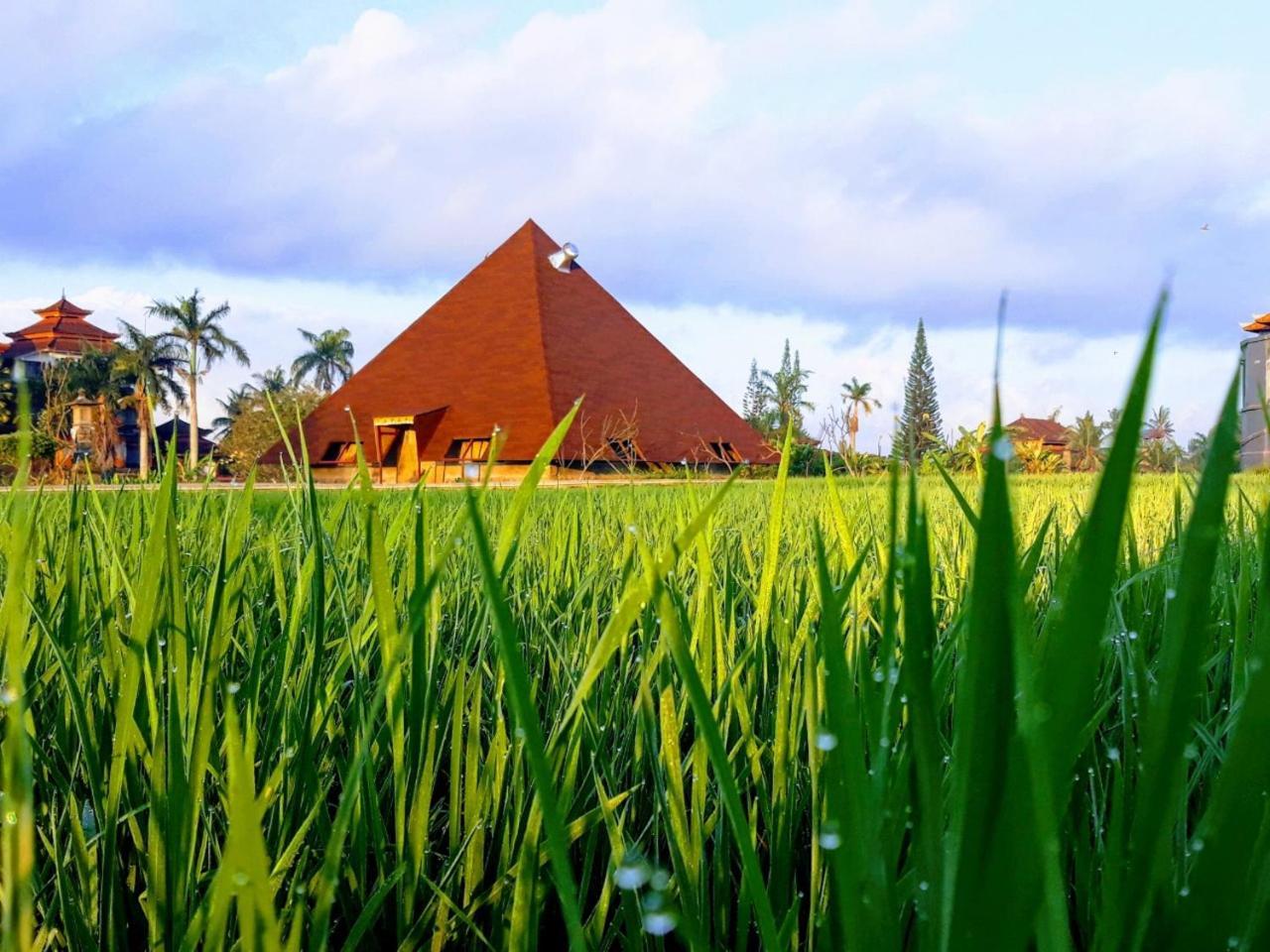 Suly Garden Hotel 3*